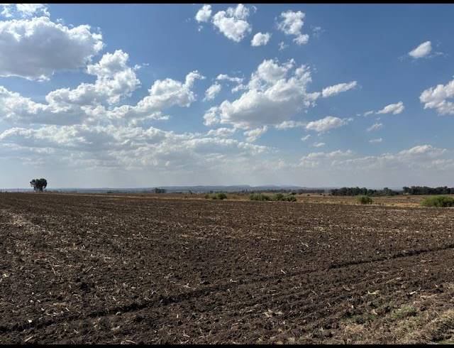 LAND FOR SALE IN CHRISSIEFONTEIN